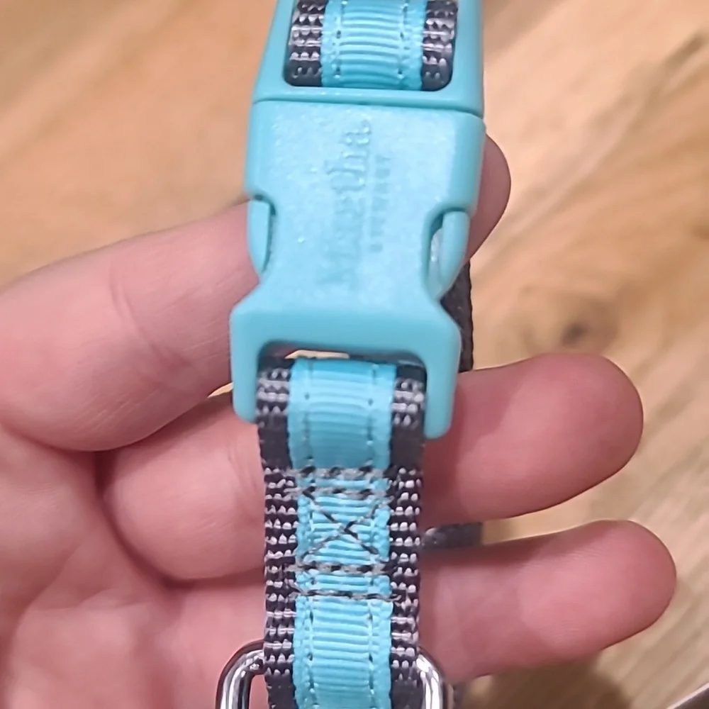 ❤️10/$40 New Martha Stewart adjustable nylon dog collar